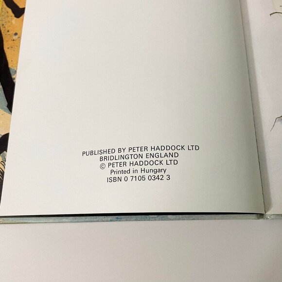 Hansel and Gretel Hardcover Illustrated by John Patience Printed in Hungary - Picture 8 of 15